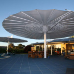 Seashell-360-Degrees