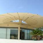 seashell 270 degree